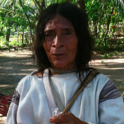 Kogi Elder Mamo Luis